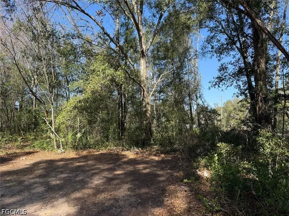 1245 Cellini St E, Lehigh Acres, FL 33974