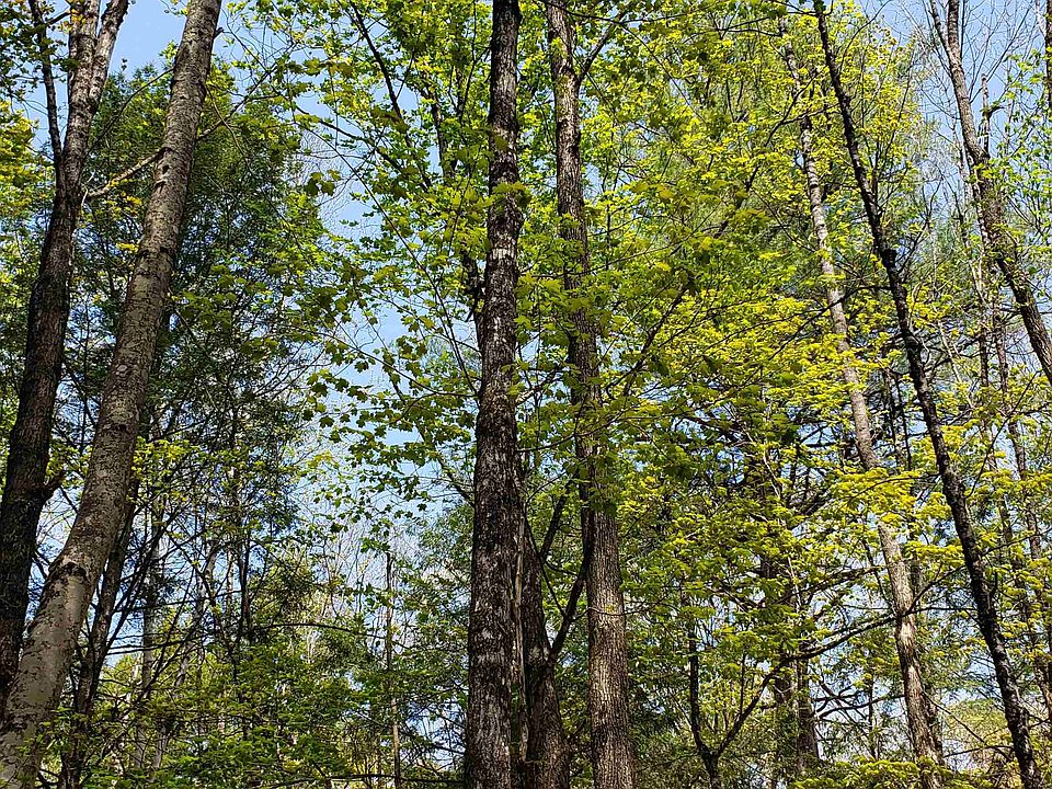 TBD Waits River Road, Bradford, VT 05033 MLS 4952867 Zillow