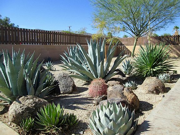 Cactus Garden with Views