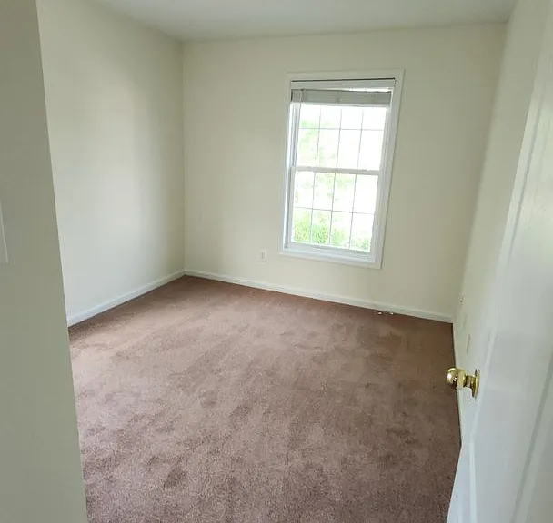 131 Pumpkin Patch Ln — Photo 24