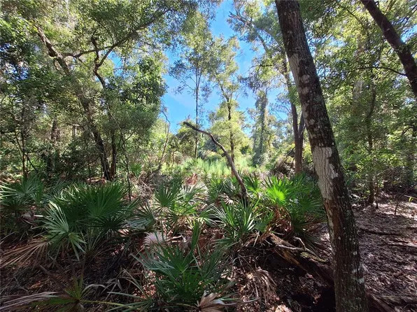 0 NW 47th Ct Lot 24, Chiefland, FL 32626