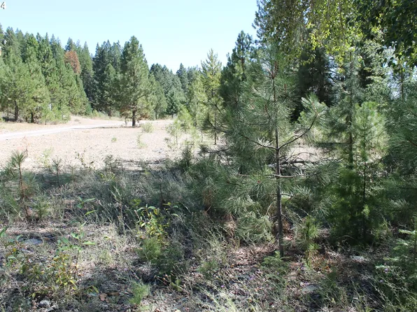 Oak St, Sumpter, OR 97877