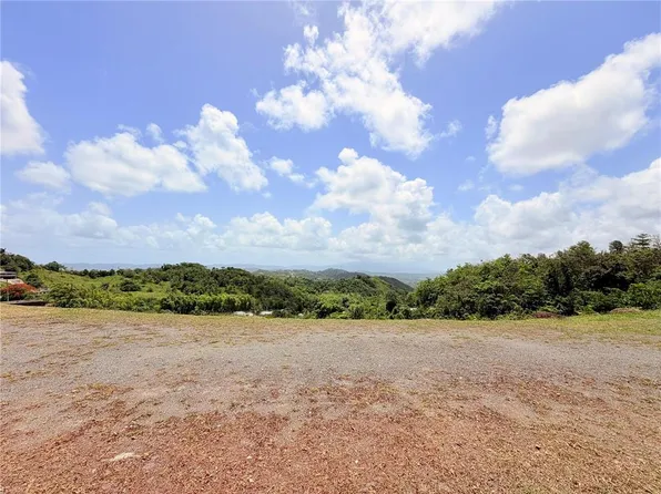 Bo Quemado, San Lorenzo, PR 00754