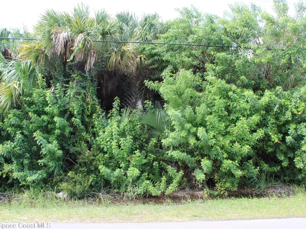 3138 Framingham Ave SW, Palm Bay, FL 32908