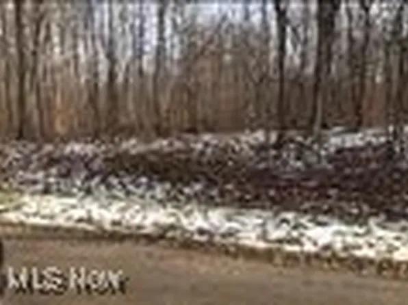 Boy Mar Dr, Rock Creek, OH 44084