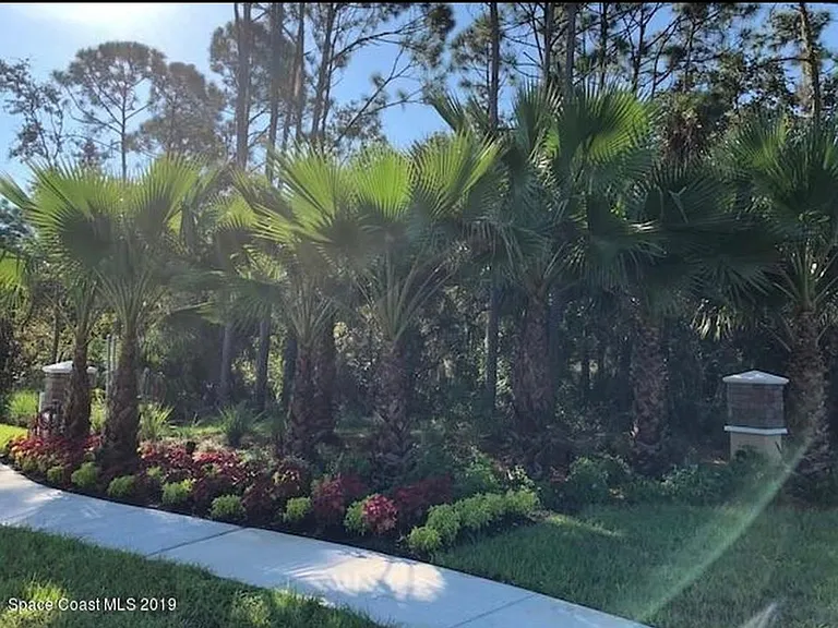 530 Forest Trace Cir — Photo 12