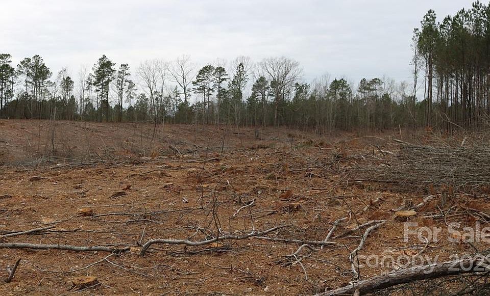 2nd image of 0 Morgan Sellers Rd