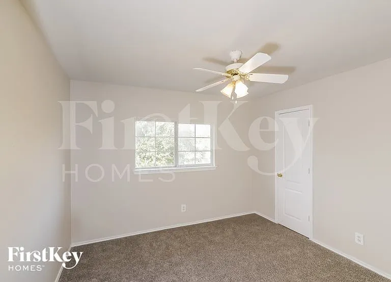 7504 Forest Fern — Photo 12