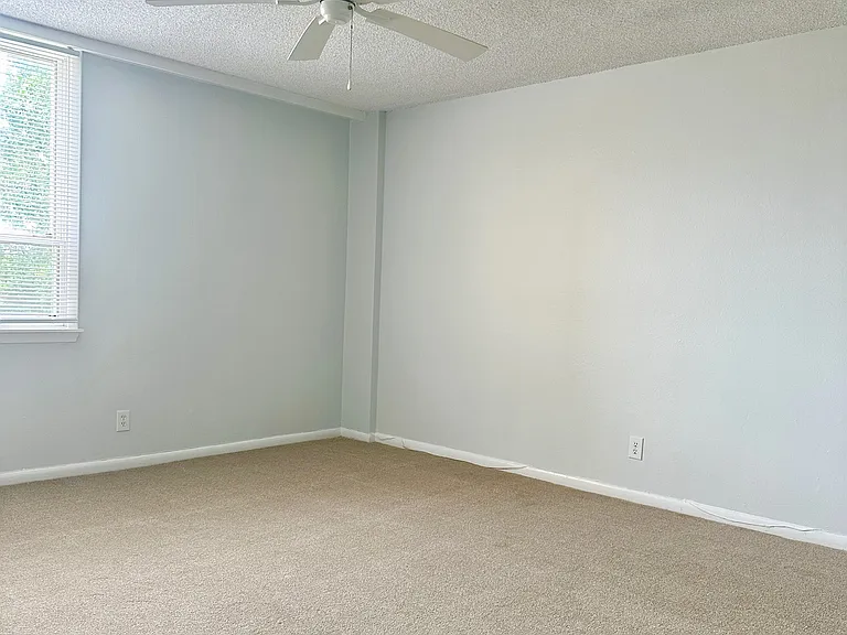 2617 Cove Cay Dr #1-311 — Photo 19