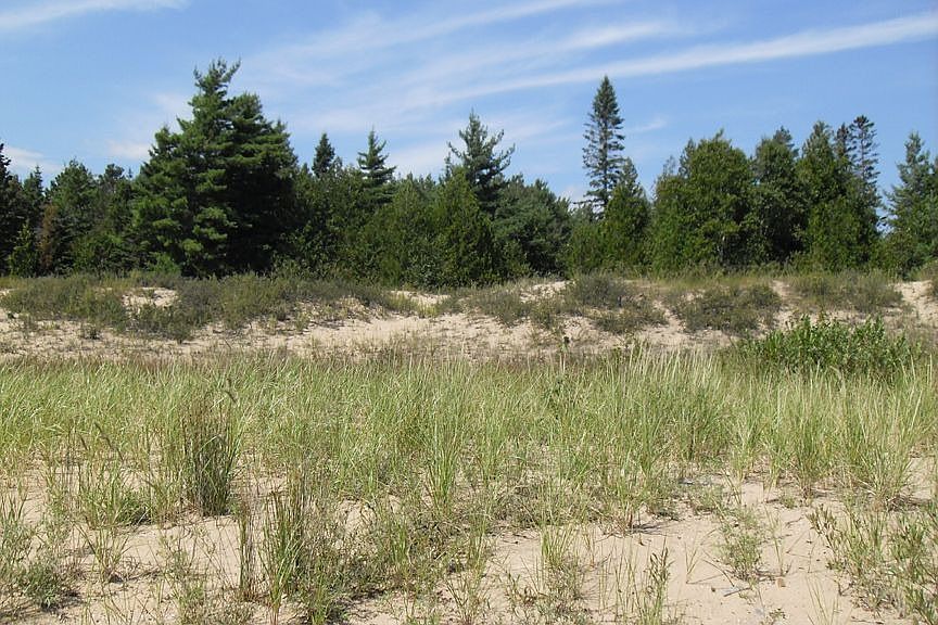 2nd image of Us Highway 2 East Unit 4