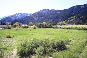 3rd image of 12264 Ski View Ln