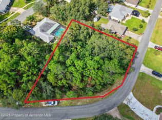 11148 N Gifford Dr, Spring Hill, FL 34608
