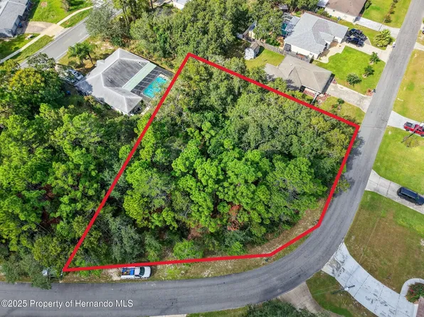 11148 N Gifford Dr, Spring Hill, FL 34608