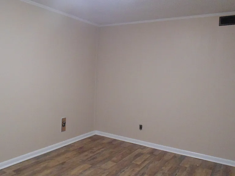 381 County Road 775 — Photo 10