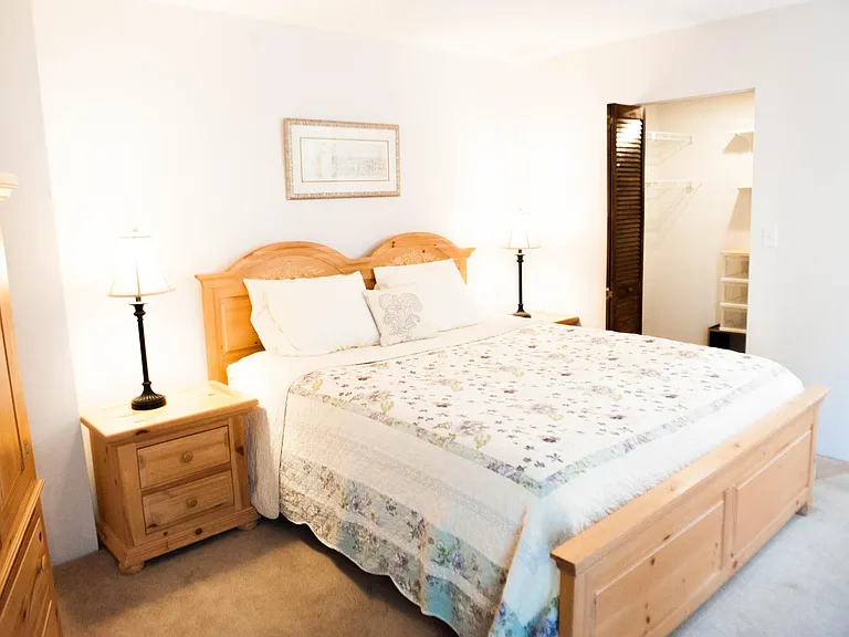 Master Bedroom with Walk in Closet