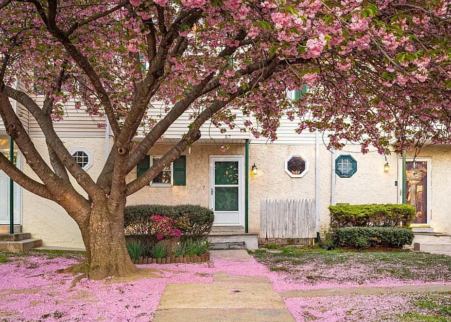 1st image of 57 Brighton Ct #57