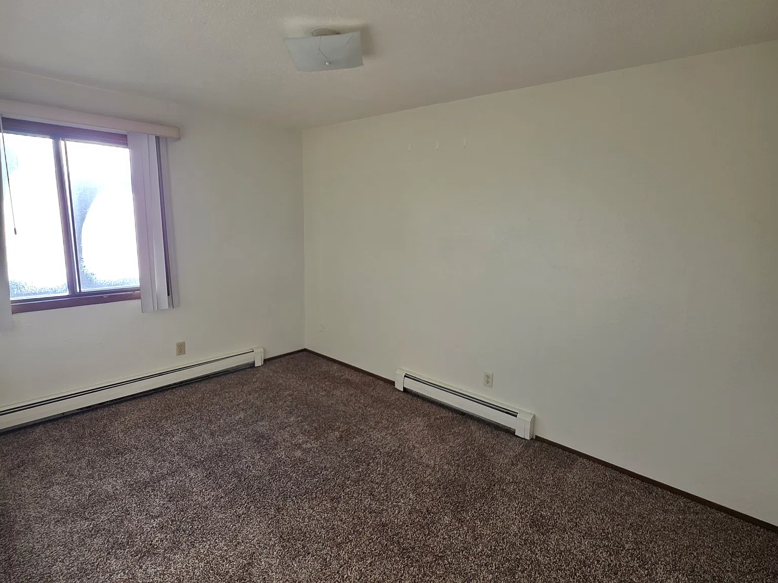 2 bed, $950 — Photo 4