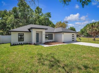 404 Pine Ave, Mount Dora, FL 32757