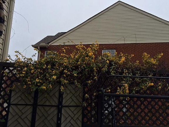 2nd image of 147 Nashboro Grns