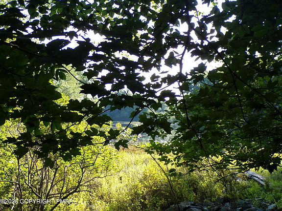 4th image of Blue Ridge Dr #1208