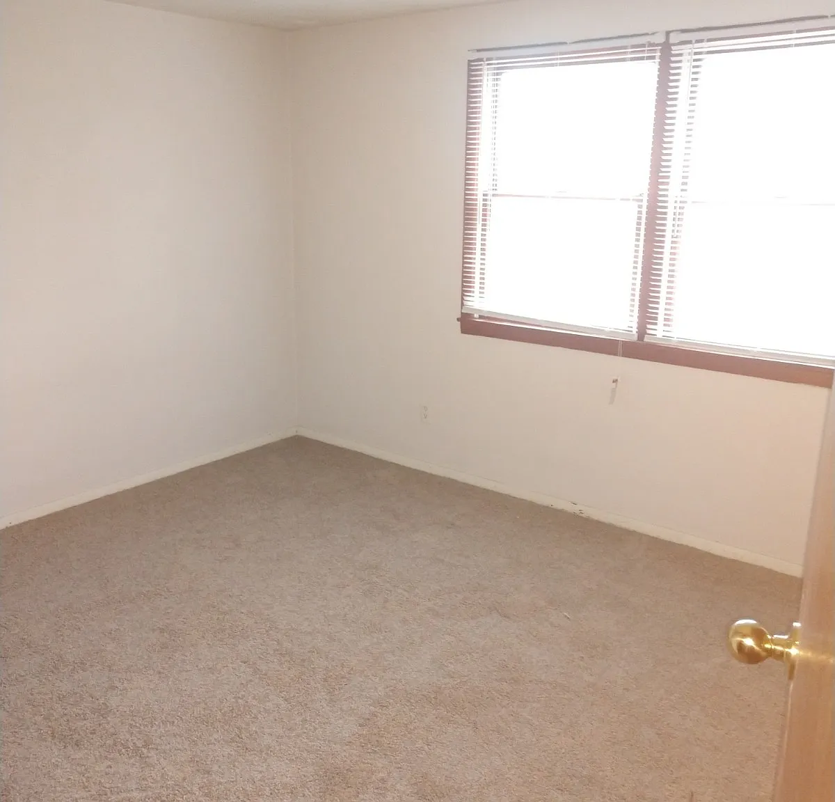 403 Ellen Ave. - 5 — Photo 4