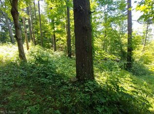 377 State Rte, Chesterhill, OH 43728