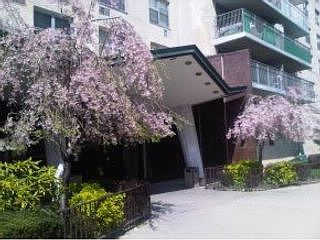 3rd image of 601 Surf Ave APT 13H