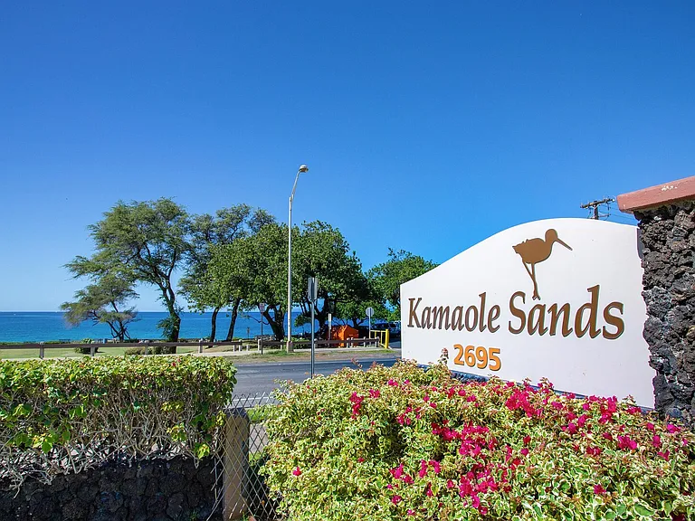 S Kihei Rd — Photo 42