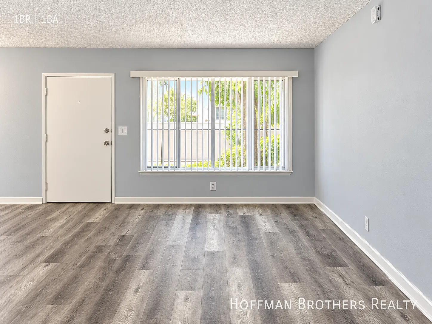 Beautifully Designed First Floor 1 Bed With On-Site Laundry and Parking — Photo 1