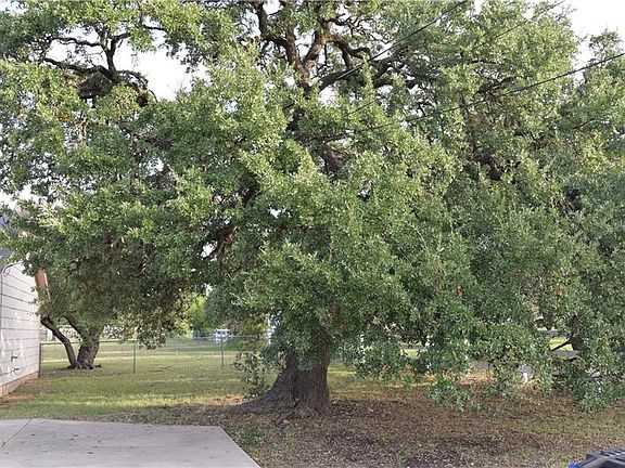 4th image of 440 W Fm 243