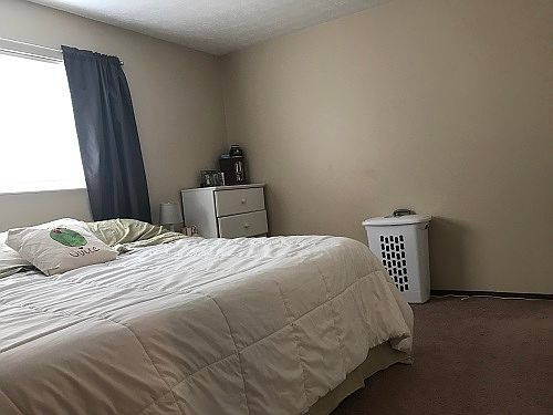 4th image of 401 Tracy Ln