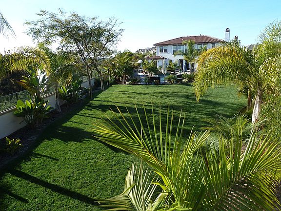 Rear yard view of home