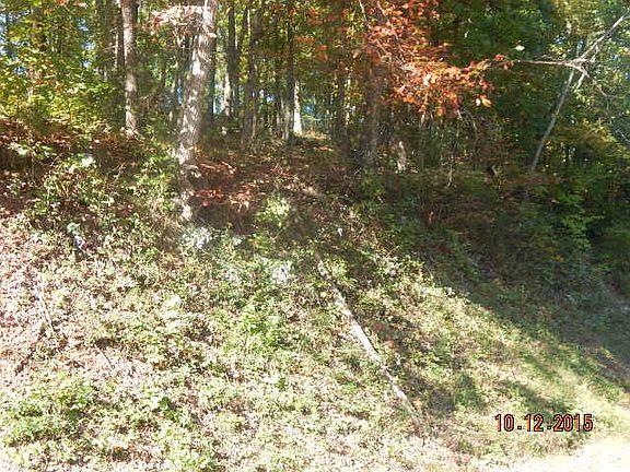 3rd image of Proffitt Ridge Road