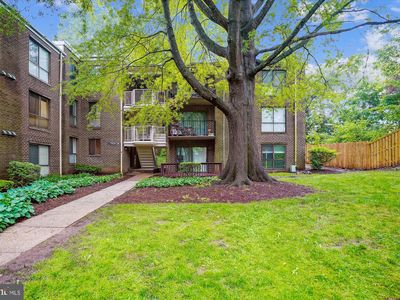17800 Buehler Rd APT 131, Olney, MD, 20832