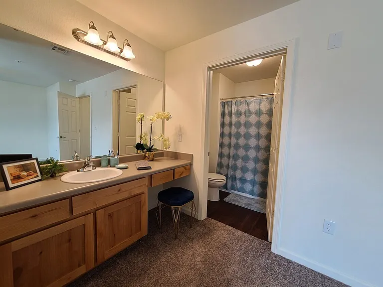 Western Springs Apartments — Photo 7