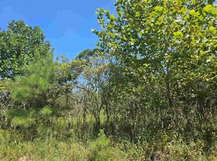 1384 Hubanks Rd, Finger, TN 38334