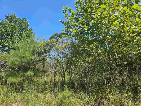 1384 Hubanks Rd, Finger, TN 38334