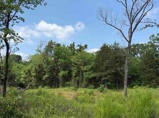 0 Vz County Road 4608, Ben Wheeler, TX 75754