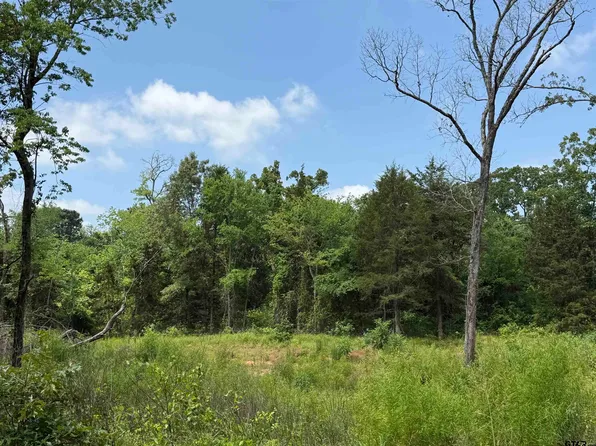 0 Vz County Road 4608, Ben Wheeler, TX 75754