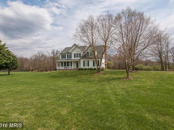 Trees and landscaping