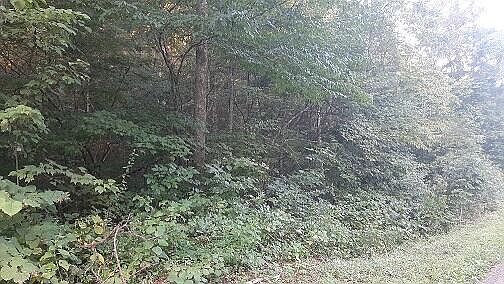 2nd image of Pack Fork Rd