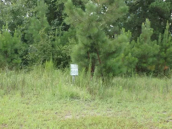 588 Park View Ln, Kingsland, GA 31548