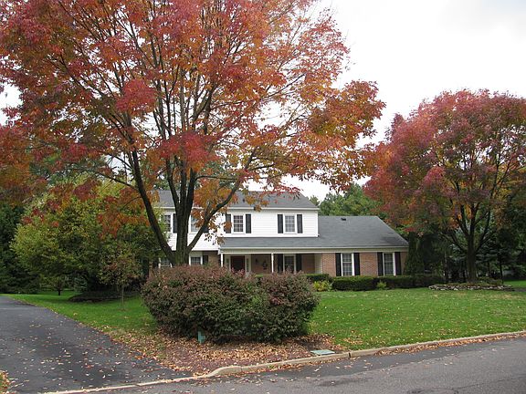 Nice mature trees