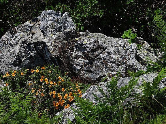 58 Lucas Valley Rd Nicasio Ca Mls Zillow