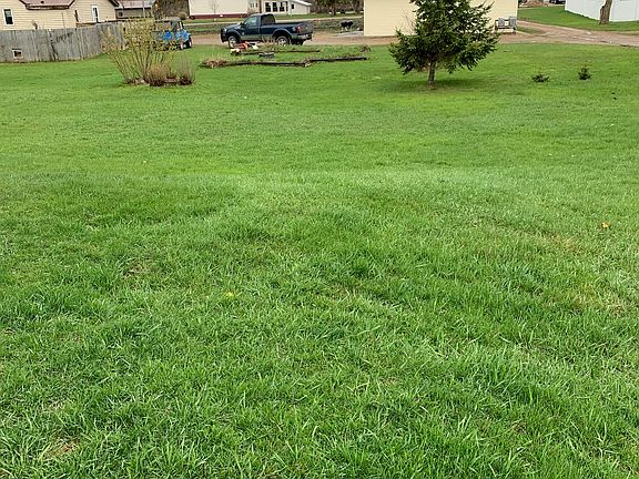 Back yard