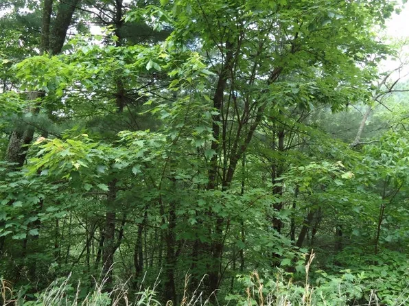 LOT10 Emerald Crk, Young Harris, GA 30582