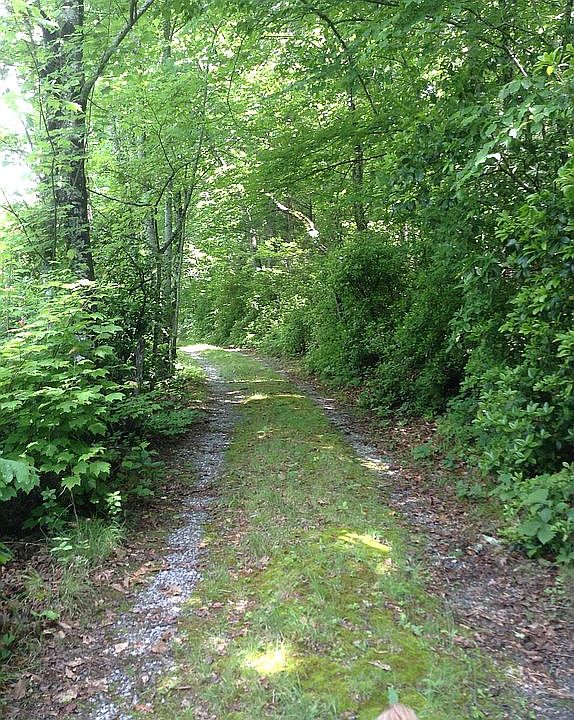 Picturesque driveway to home