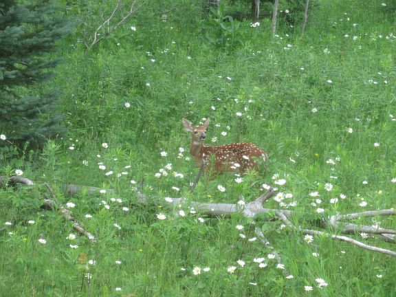 5th image of N5421 S Gould City Rd