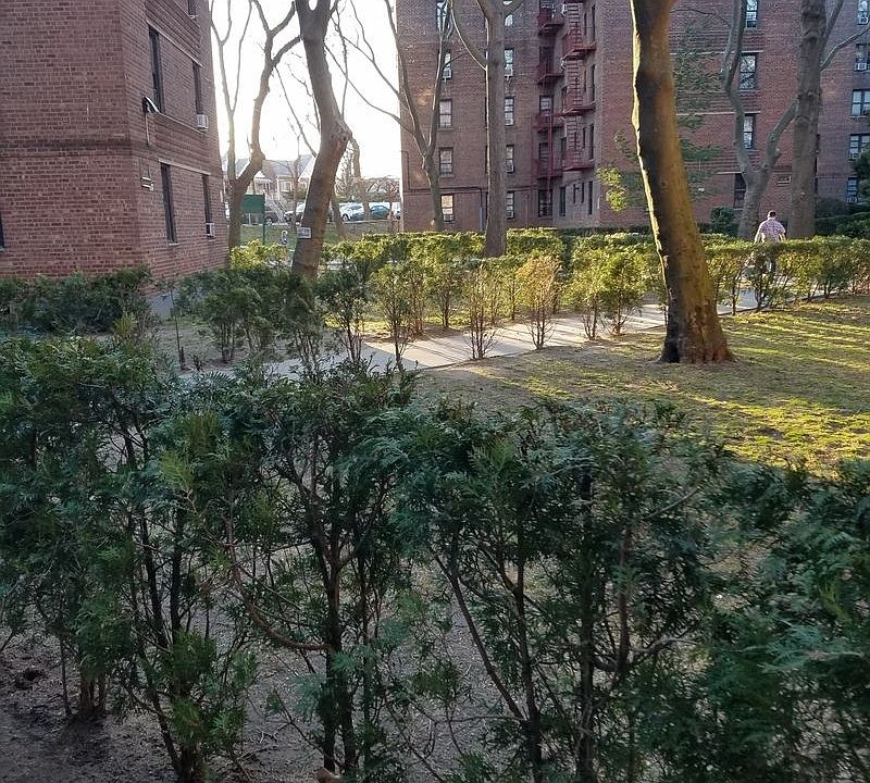 1st image of 62-20 84th St #C