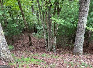 167 Tara Dr, Ellijay, GA 30540